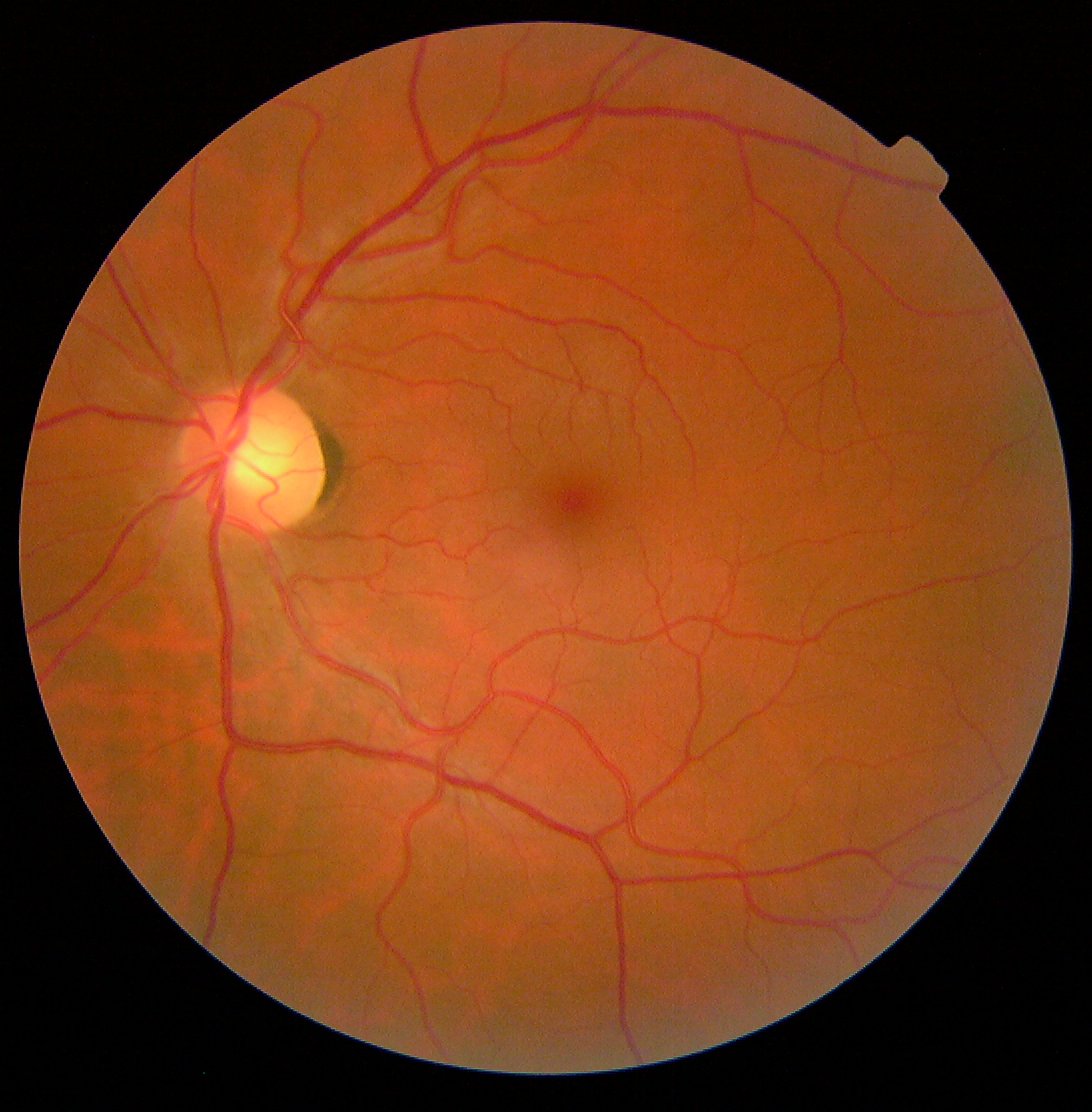 Brian K._Shoichet_image