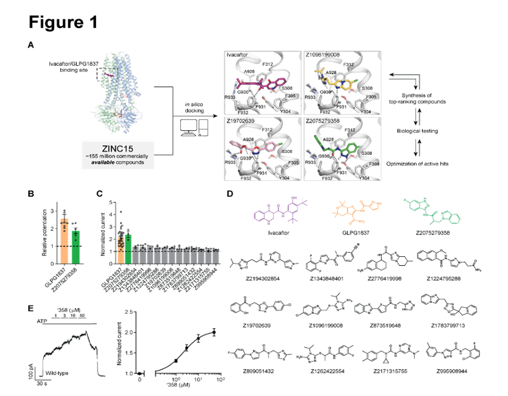 Liu_cell_2024.png