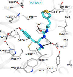 PZM21 a novel μ-opioid agonist